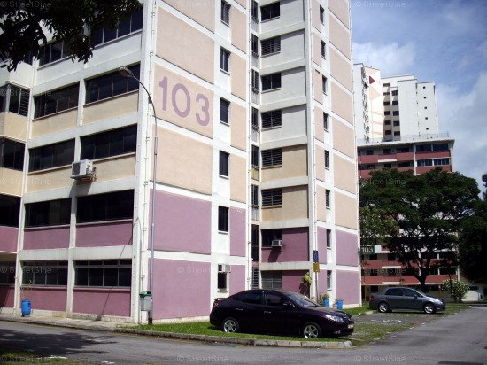 Blk 103 Tao Ching Road (S)610103 #271582